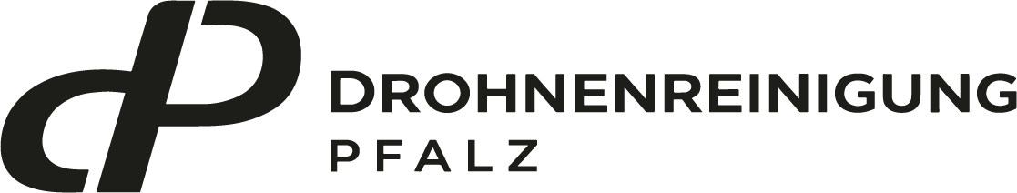 Drohnenreinigung Pfalz